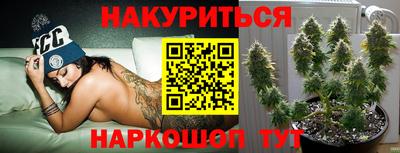 наркотики Малгобек