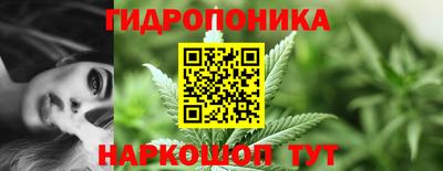 гашик Малоярославец